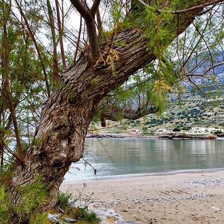 Tholos Alexandra'S Beachfront House Kavousi  Екстер'єр фото