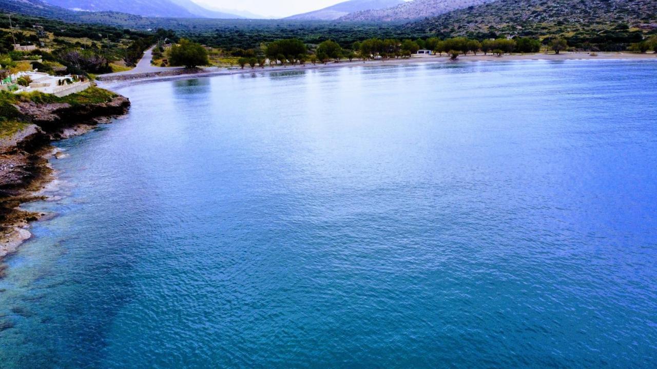 Tholos Alexandra'S Beachfront House Kavousi  Екстер'єр фото
